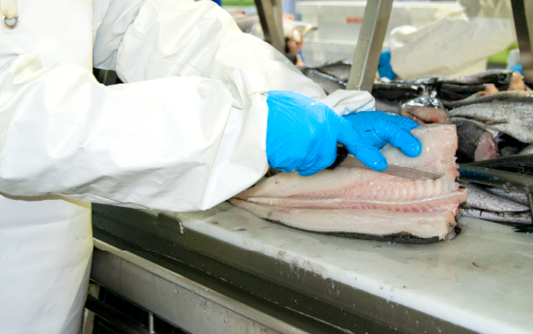 FILLETING BY HAND